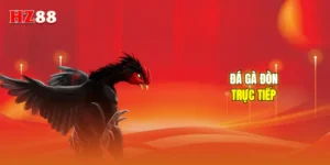 Đá gà đòn trực tiếp